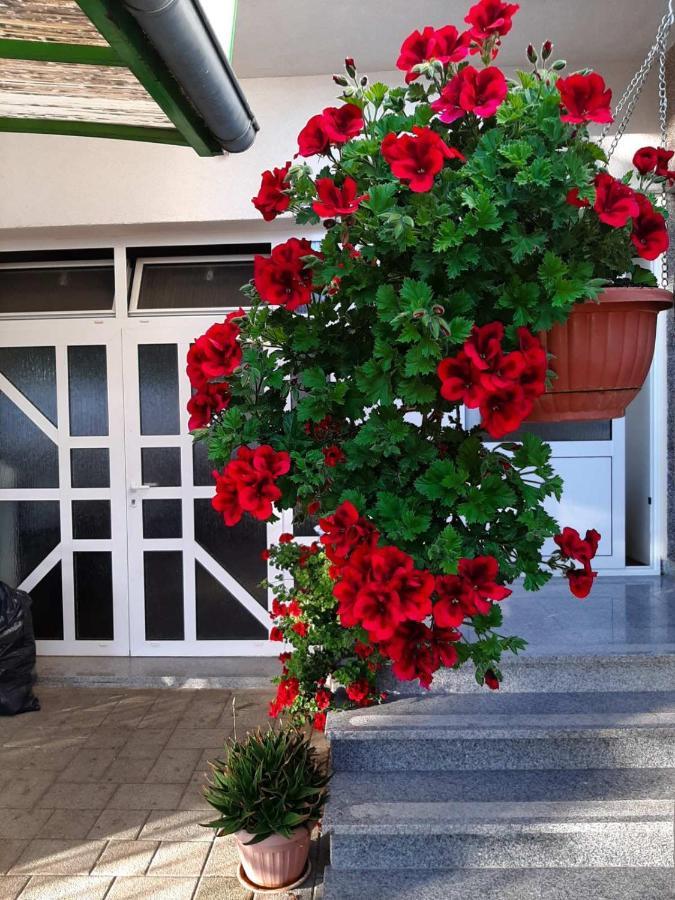 Apartment Bracic Vodice Exterior foto